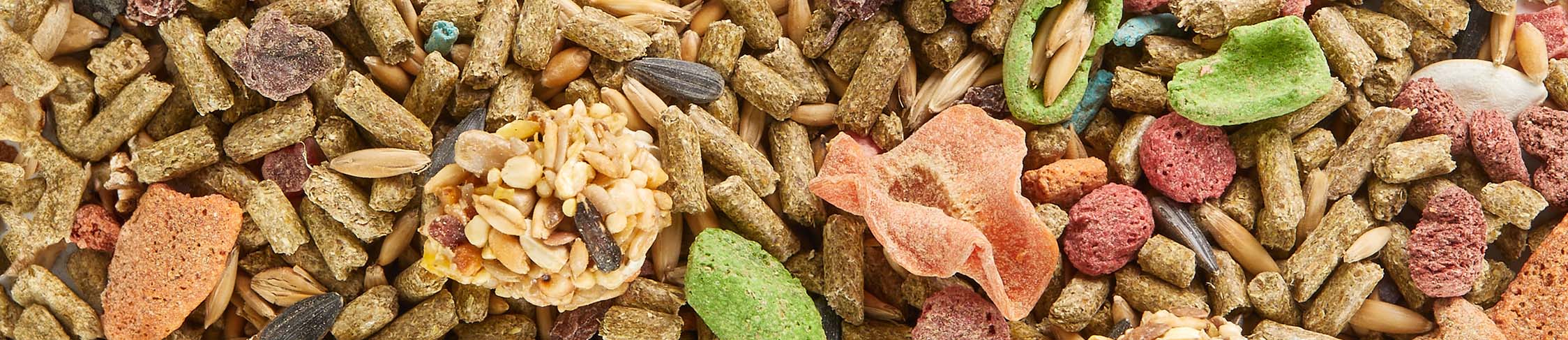 KT_Fiesta_Rabbit_PD_OutofBox_Top_Scatterecl