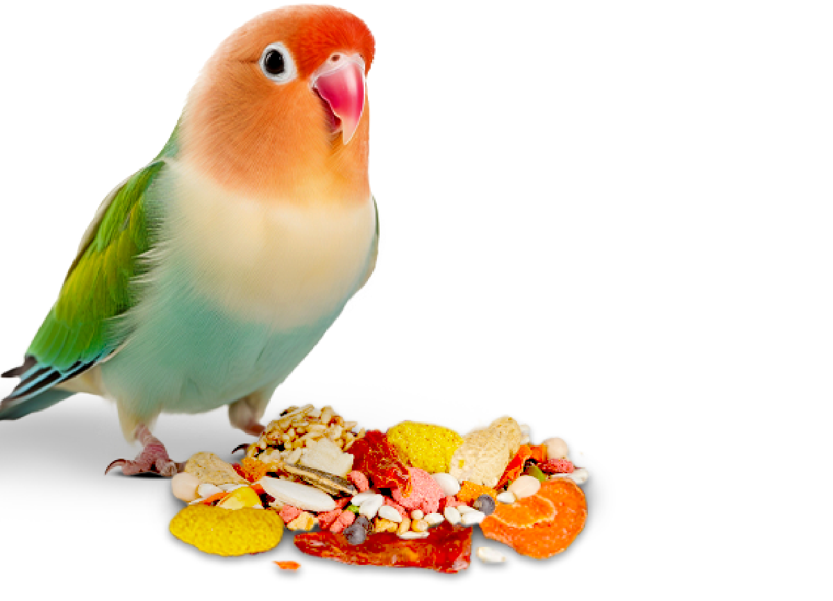 EC-SAPM100213723_Row3_Image