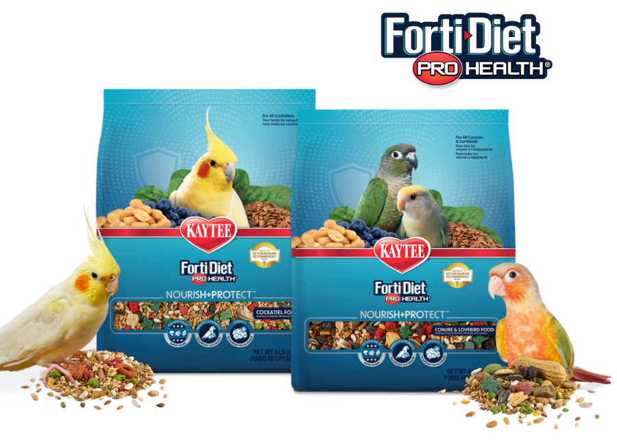 fortidietproheight