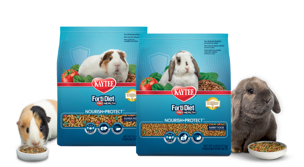 fortidiettwoproductsrabbitpig