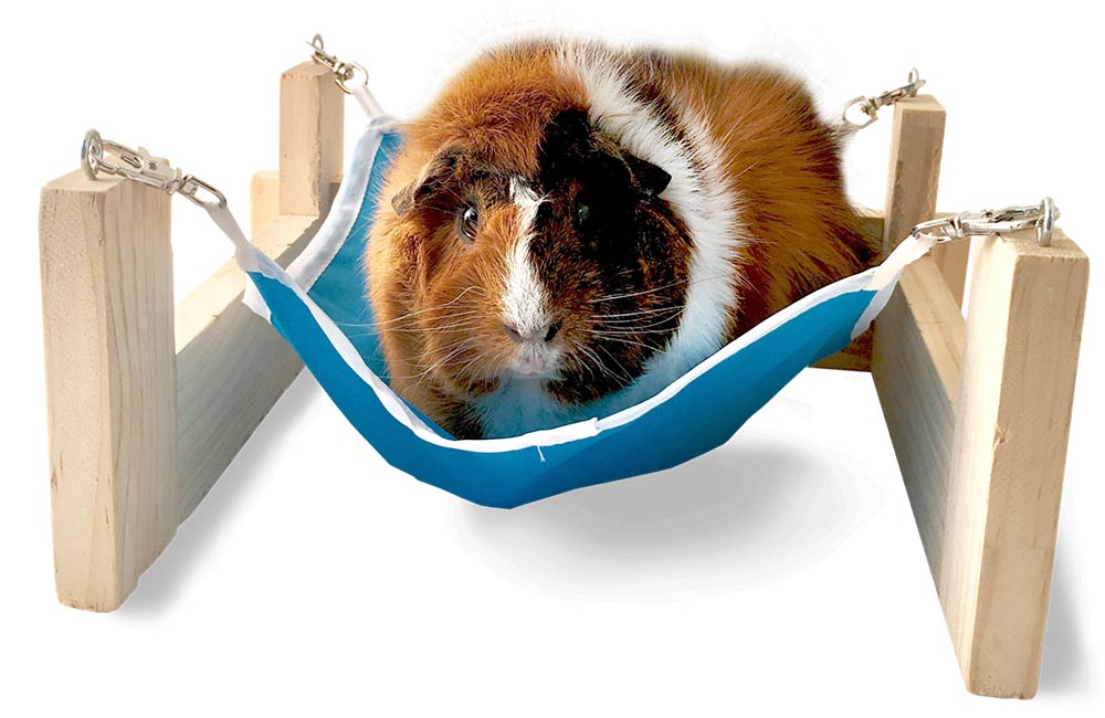Kaytee-guinea-pig-hammock