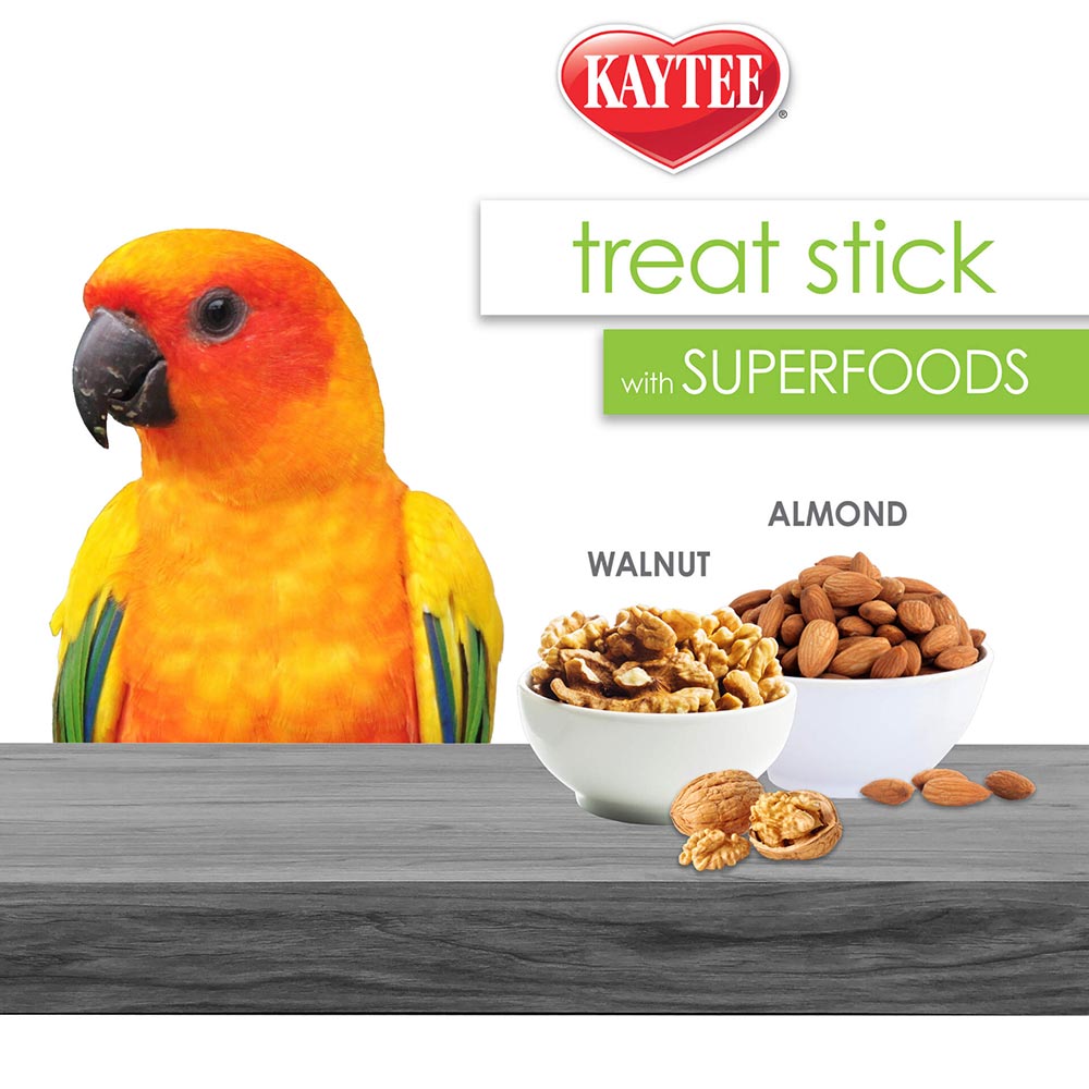 Kaytee-pet-bird-almond-and-walnut-treat