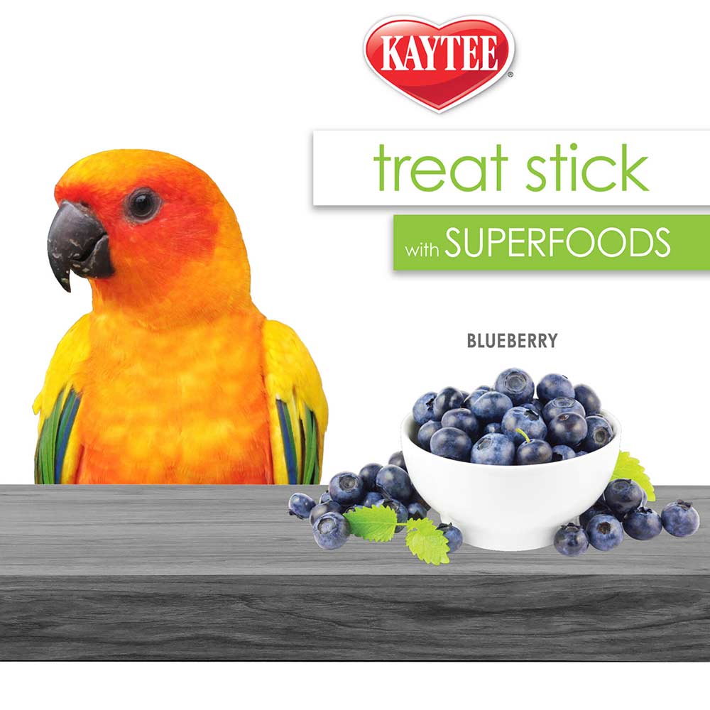 Kaytee-blueberry-pet-bird-treat