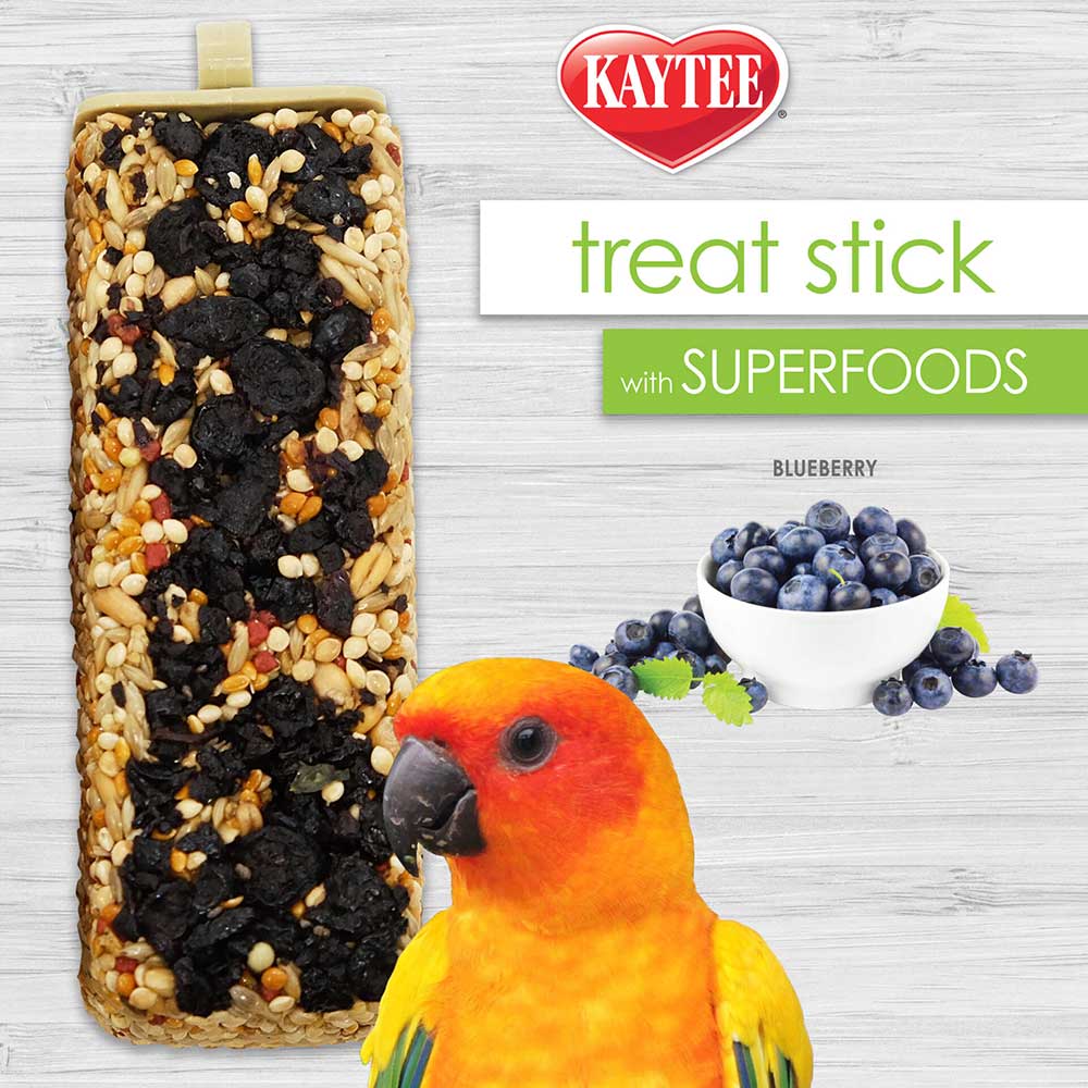 Kaytee-pet-bird-super-food-blueberry