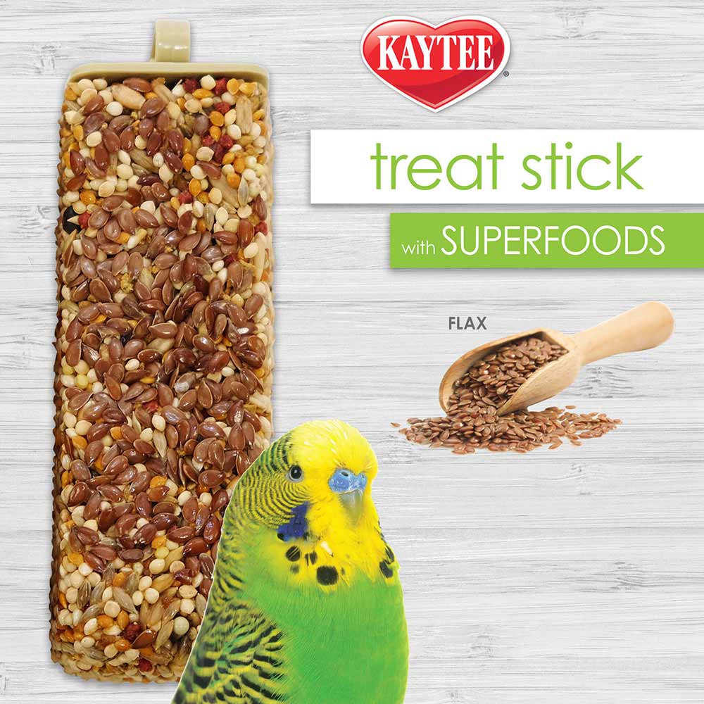 Pet-bird-flax-seed-treat