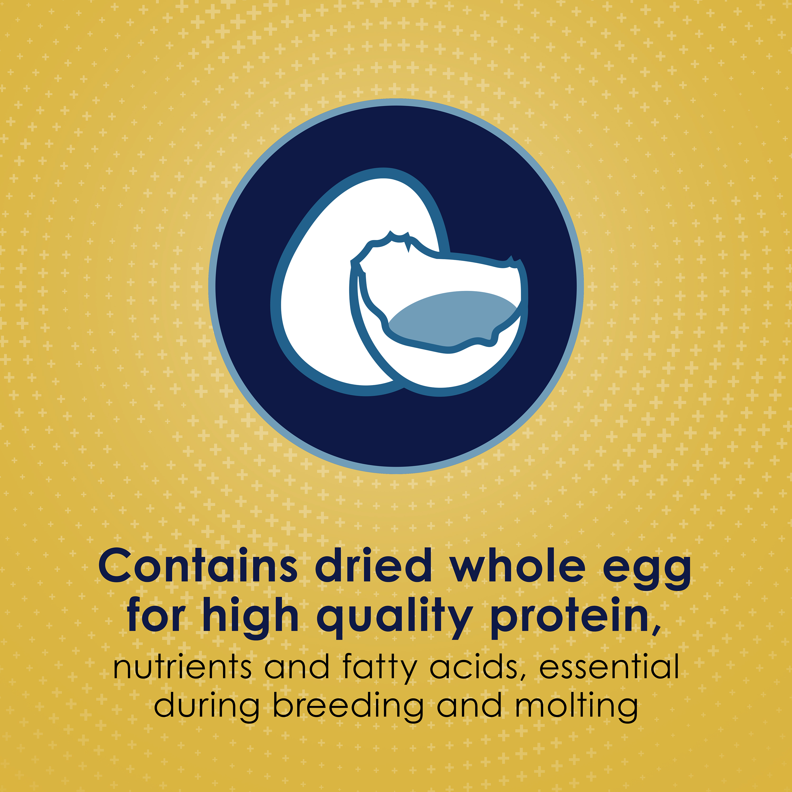762978861-100036924_infographic02