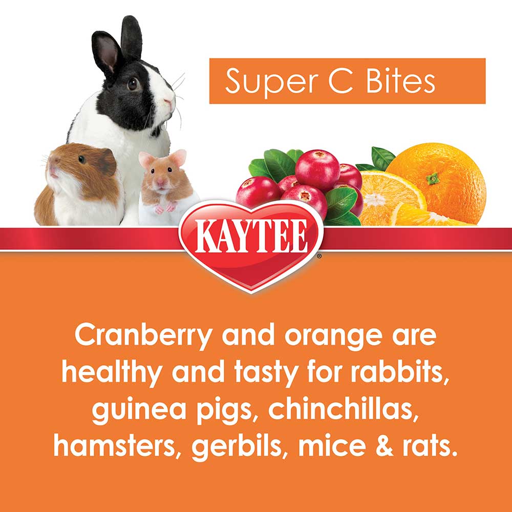 Kaytee-small-animal-vitamin-c-and-cranberry-treat