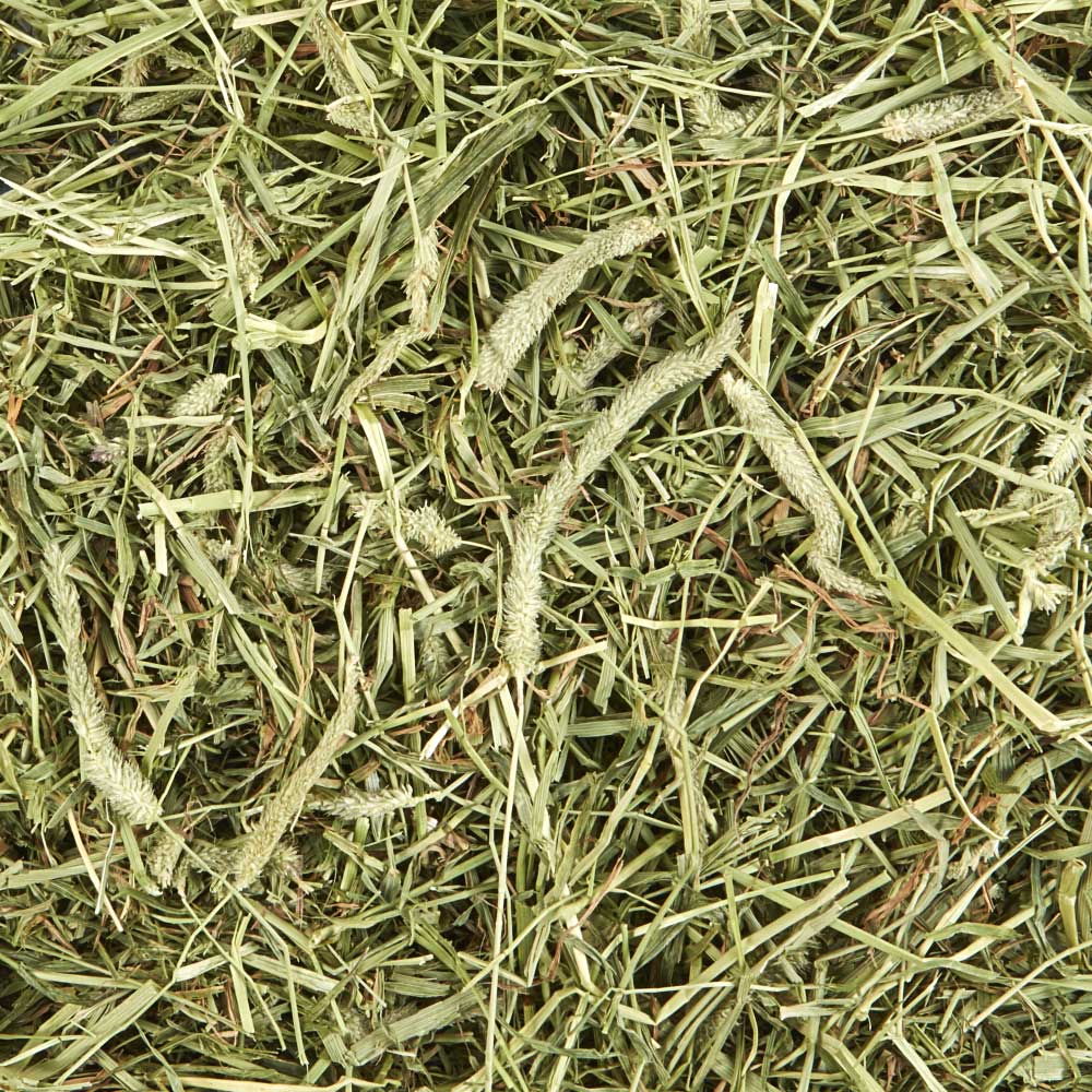 Kaytee-forti-diet-timothy-hay