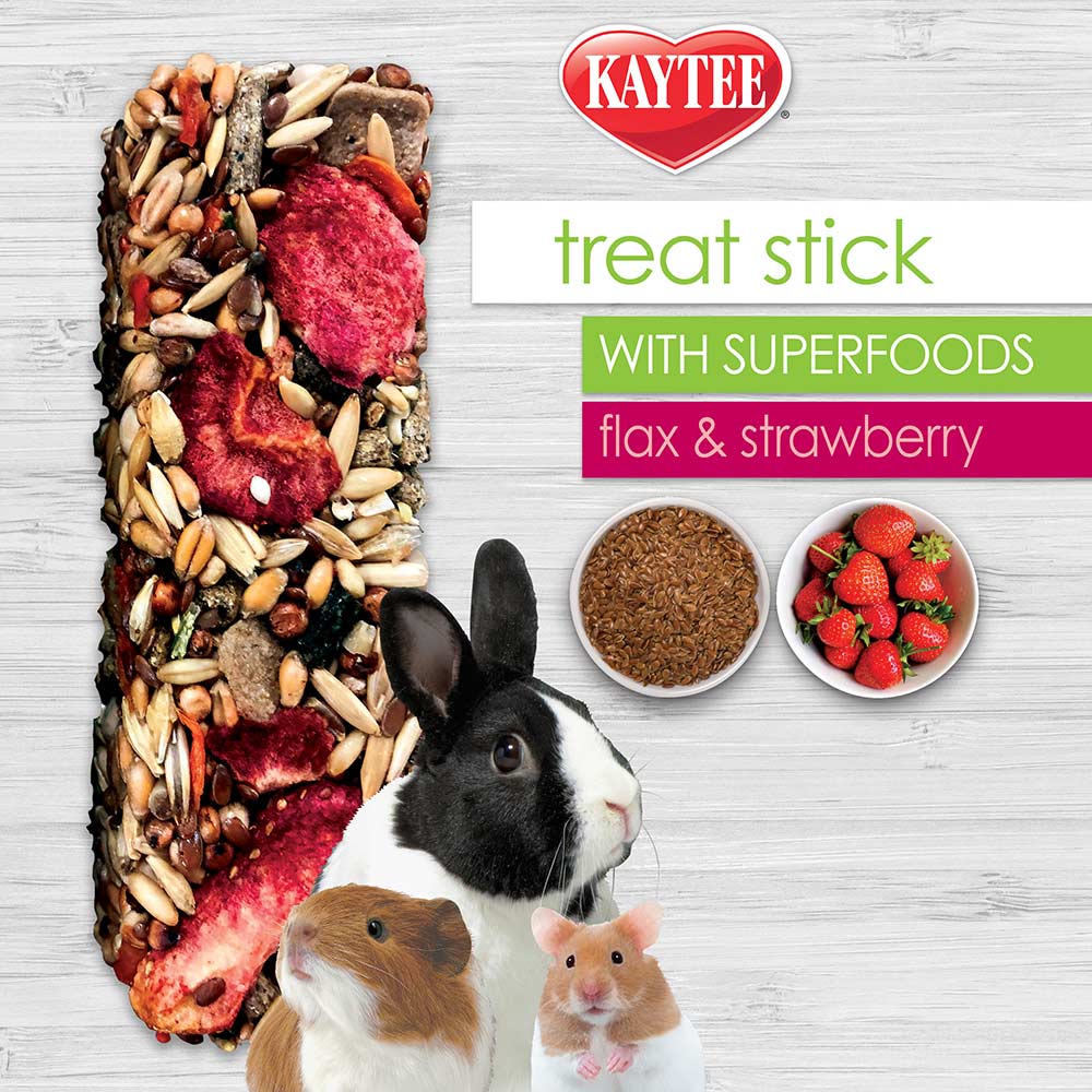 Kaytee-small-animal-strawberry-treat-sticks