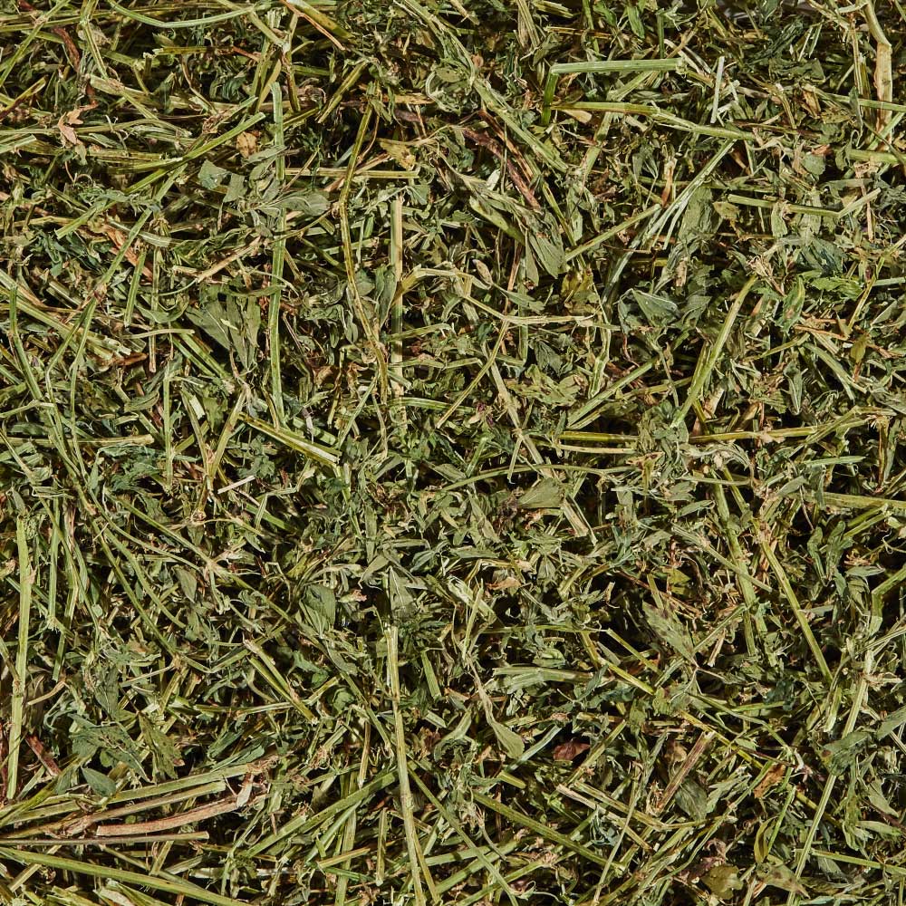Kaytee-alfalfa-hay