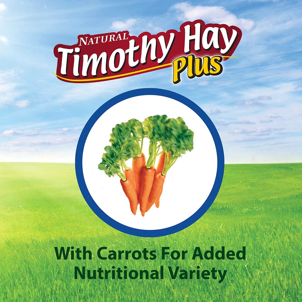 Kaytee-timothy-hay-plus-carrots