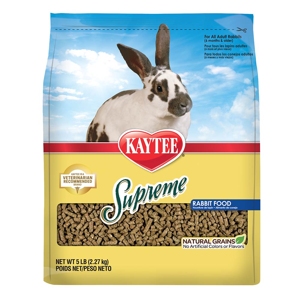 Buy these healthy rabbit feed for your favourite bunny