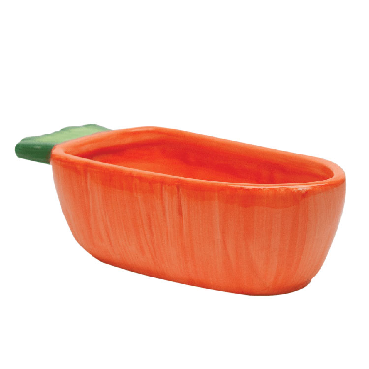 Kaytee-small-animal-feeder-bowl