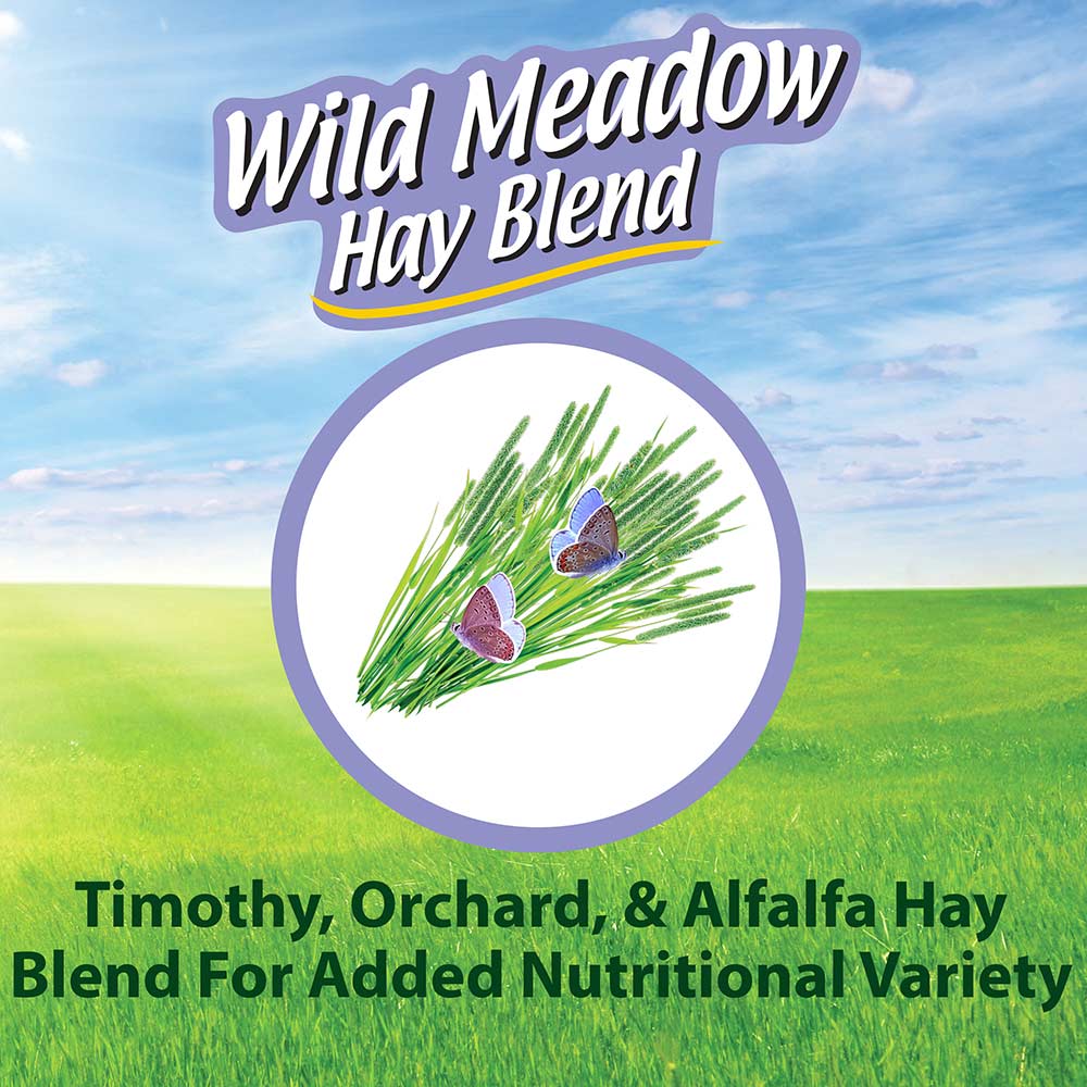 Kaytee-wildmeadow-hay-blend-for-small-pets