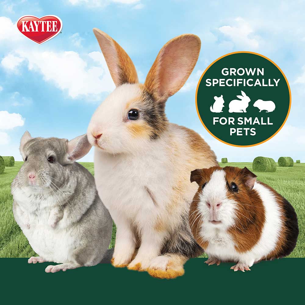Kaytee-wildmeadow-hay-blend-for-small-pets