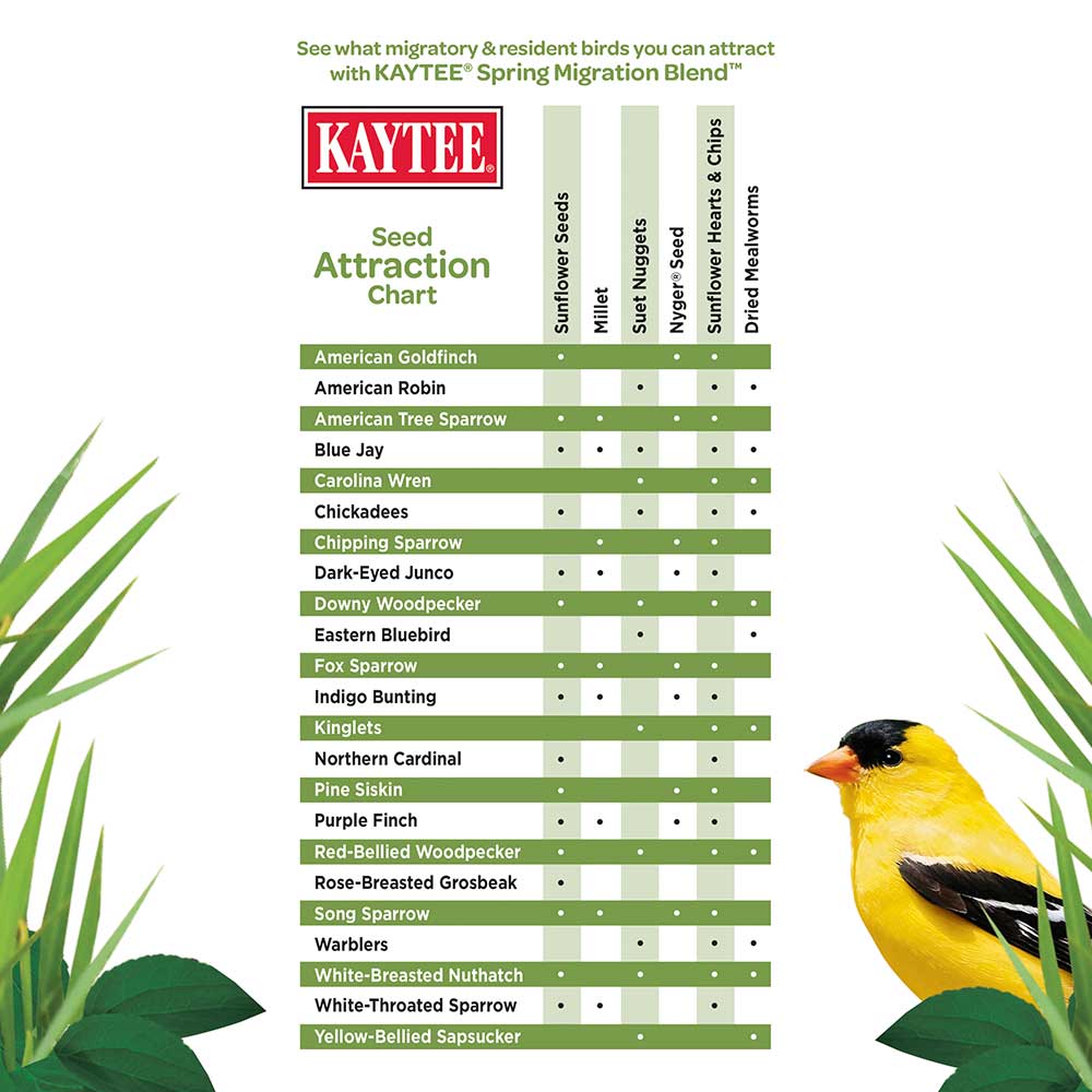 Kaytee-spring-migration-wild-bird-food