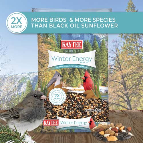 Kaytee-winter-migration-bird-food