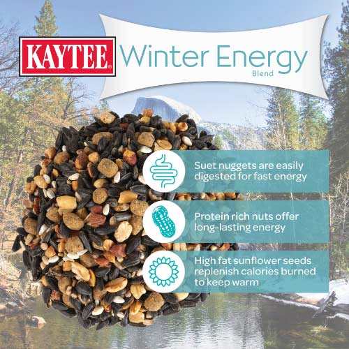 Kaytee-winter-migration-wild-bird-food