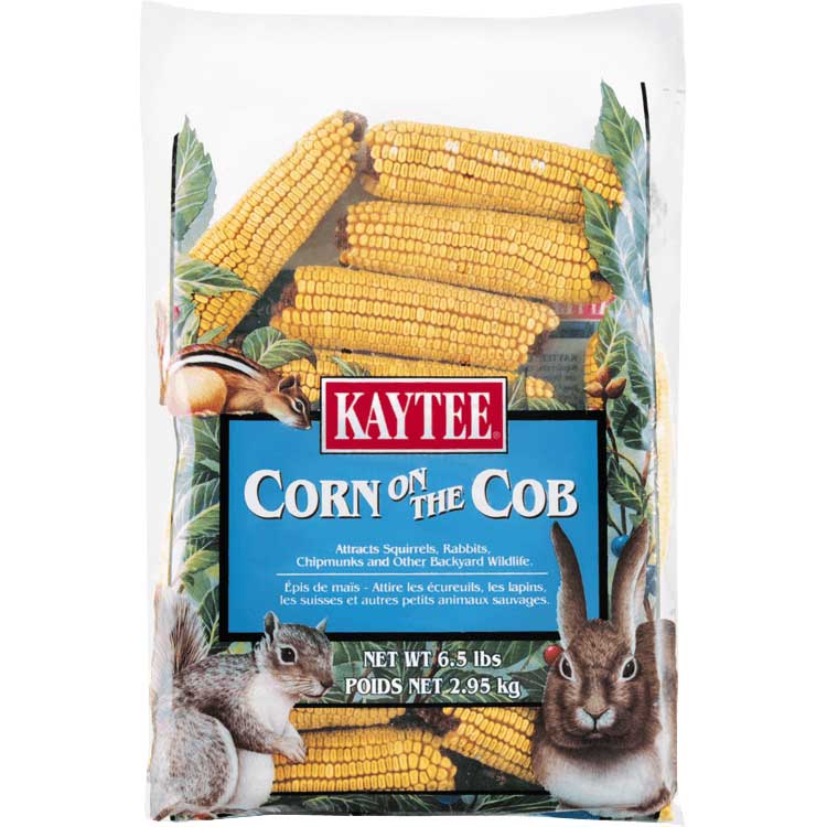 Kaytee-corn-on-the-cob-for-small-animals