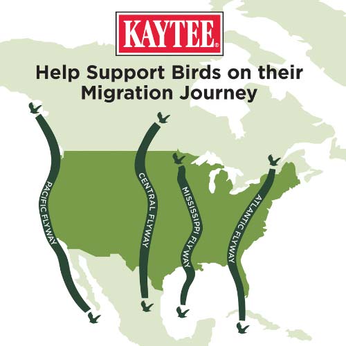 Kaytee-fall-migration-wild-bird-seed
