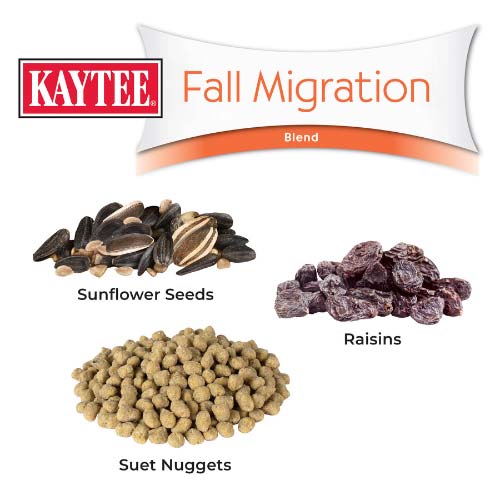 Kaytee-fall-migration-wild-bird-seed