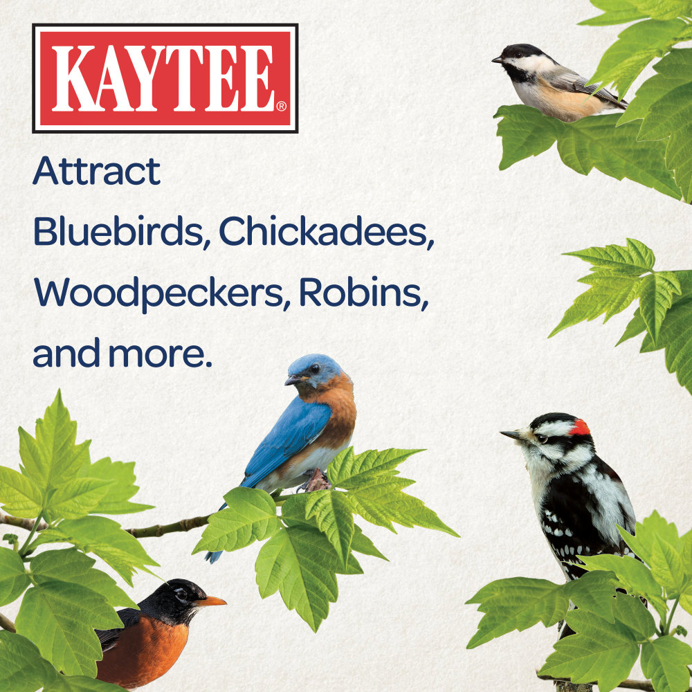 100528690-kaytee-seed-_-mealworm-cake-14-lb-4