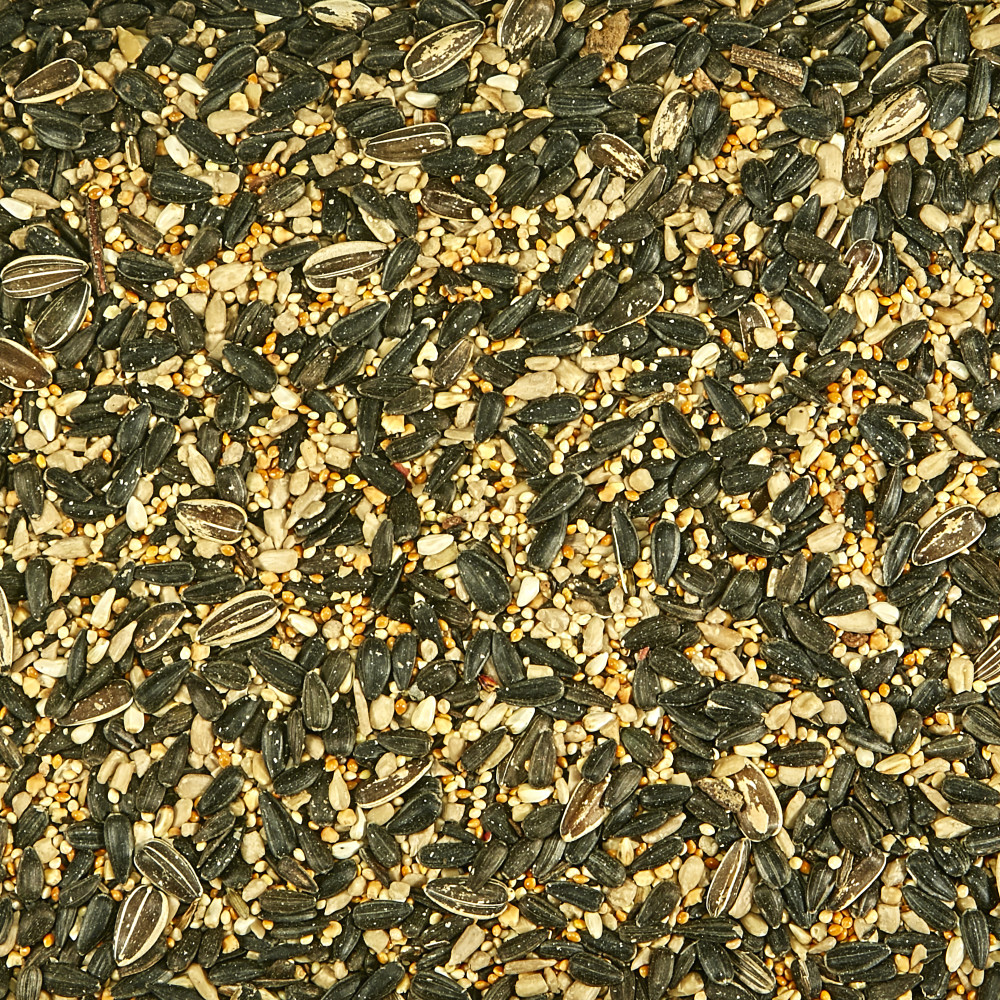 100037509-kaytee-northeast-regional-wild-bird-blend-7-lb-5