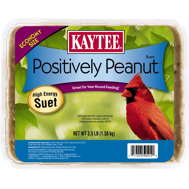 Kaytee-wild-bird-peanut-suet
