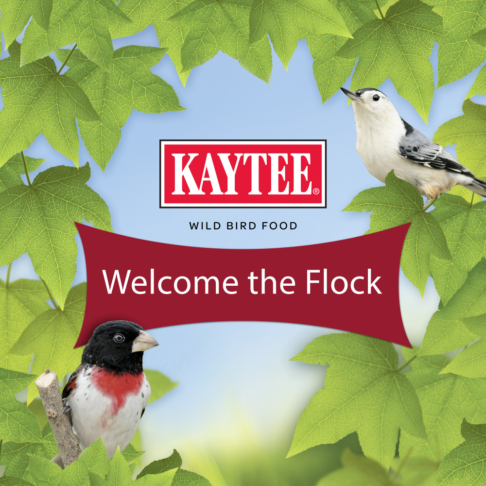100064359-kaytee-western-regional-blend-7-pounds-15