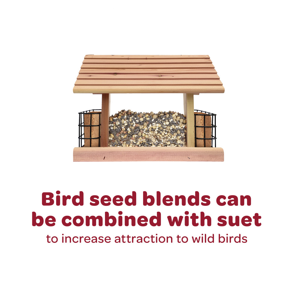 100519562-kaytee-woodlands-value-blend-wild-bird-food-18-pound-10