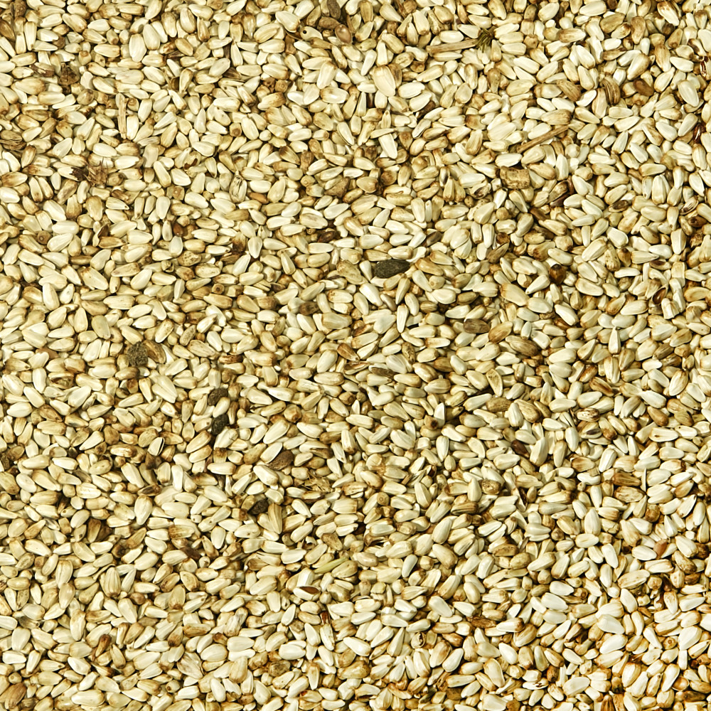 100063942-kaytee-safflower-seed-wild-bird-food-5-pounds-5
