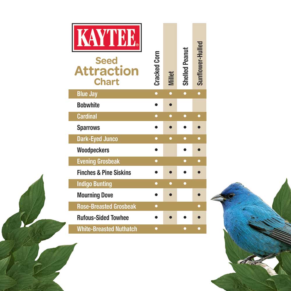 Kaytee-waste-free-wild-bird-seed