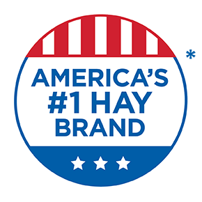 Kaytee Hay