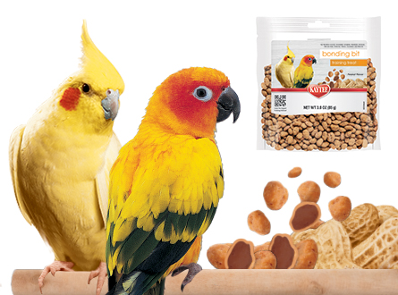 PB_BondingBits_LandingPage_Header_445x330