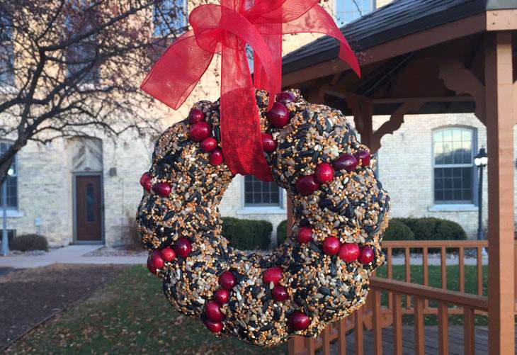 christmas bird feeder wreath