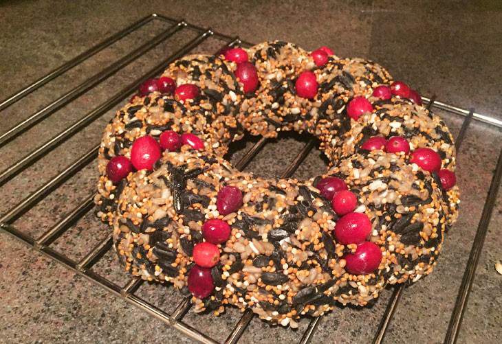 mini bird seed wreath