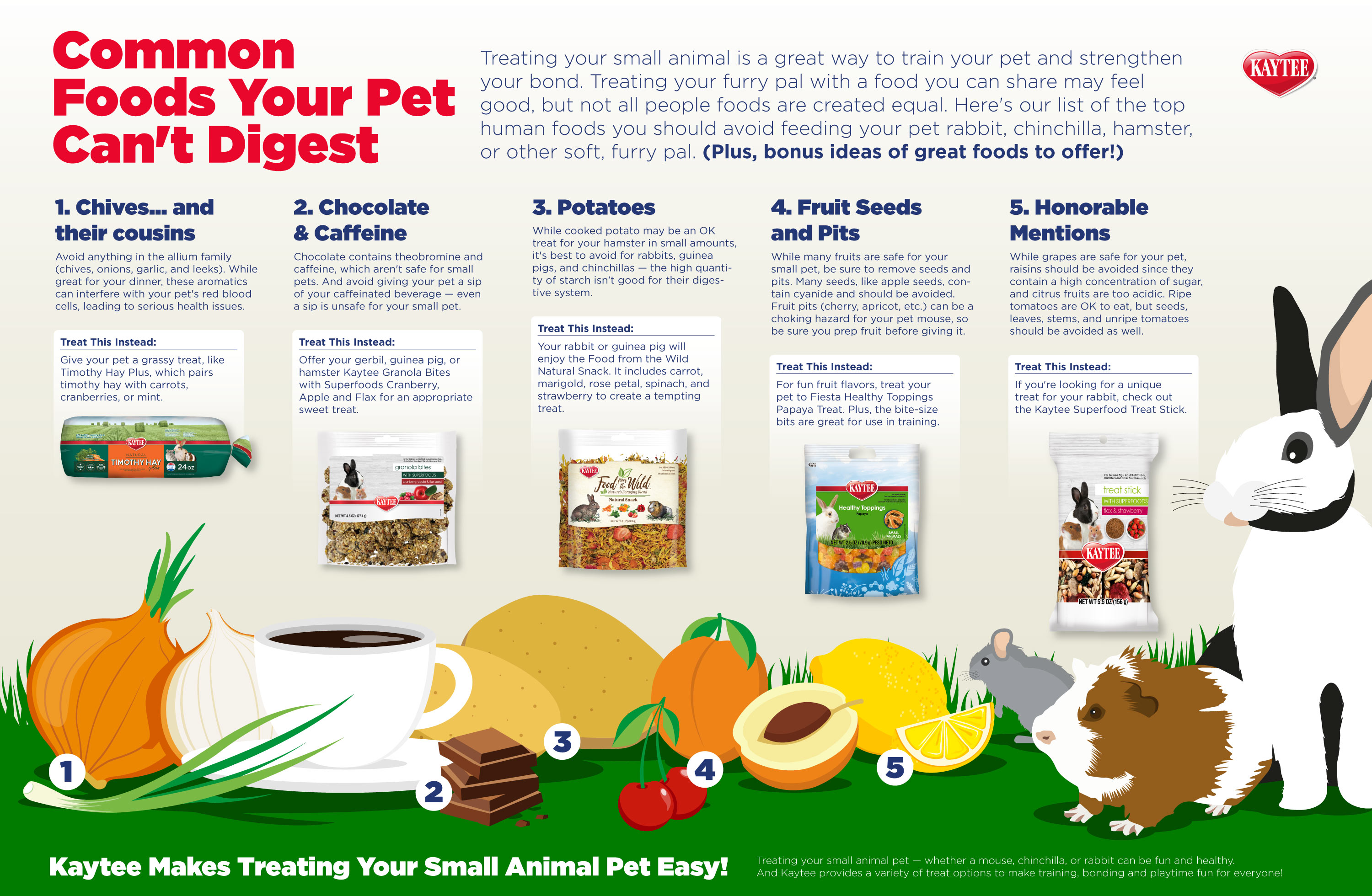 common-foods-your-pet-cant-digest-infograph