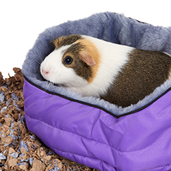 cuddle-e-cup