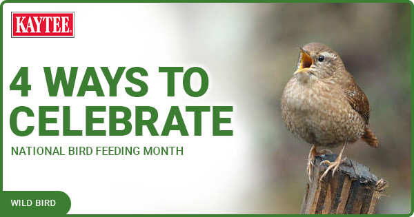 national wild bird feeding month