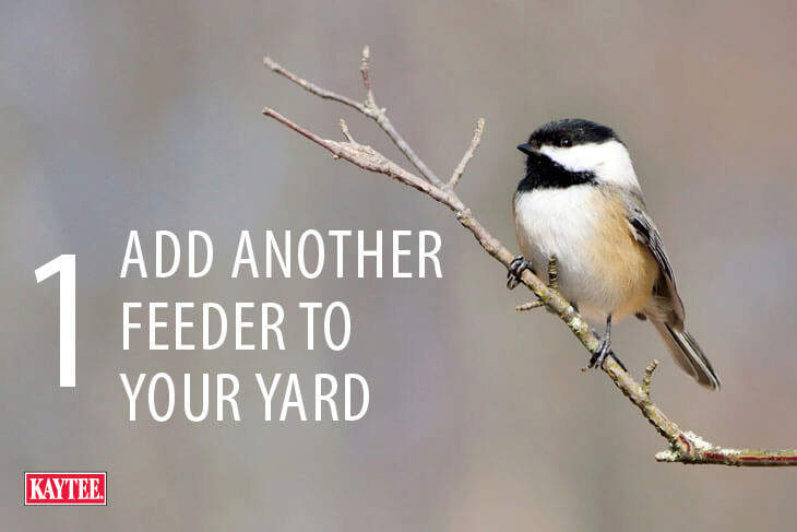 national wild bird feeding month